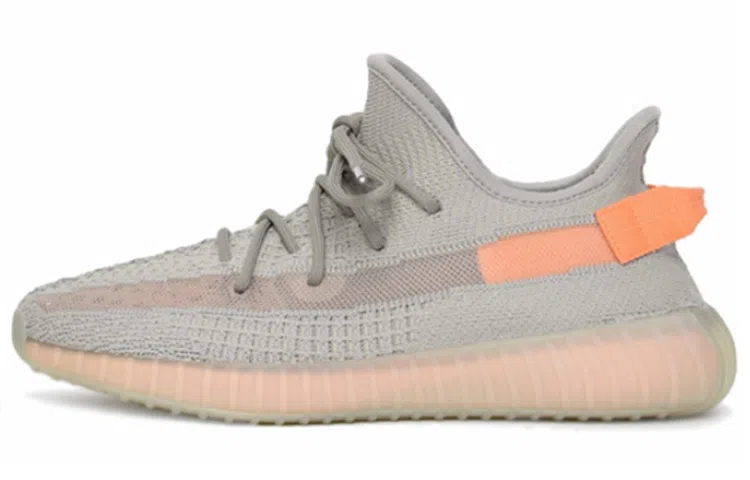 Кроссовки adidas Yeezy Boost 350 V2 "True Form"
